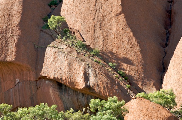 AustraliaAdelaide 10  120